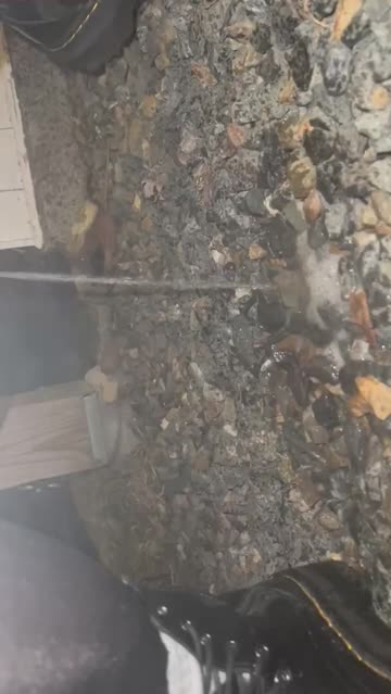 couldn’t make it in the house, tipsy piss 😋