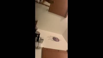 there is always a wild side to an innocent face