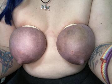 purple tits
