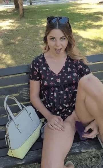 typical day in the park