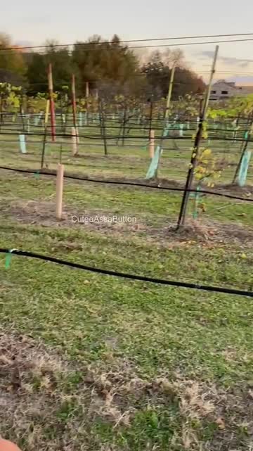 wine tasting or would you rather taste me?