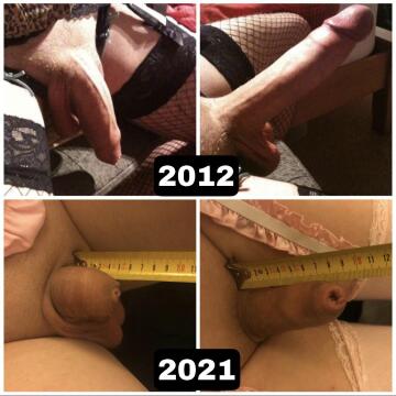 20cm (8 inches) to 9cm (3.5 inches) in 9 years. the result of long term chastity and a sexless relationship.