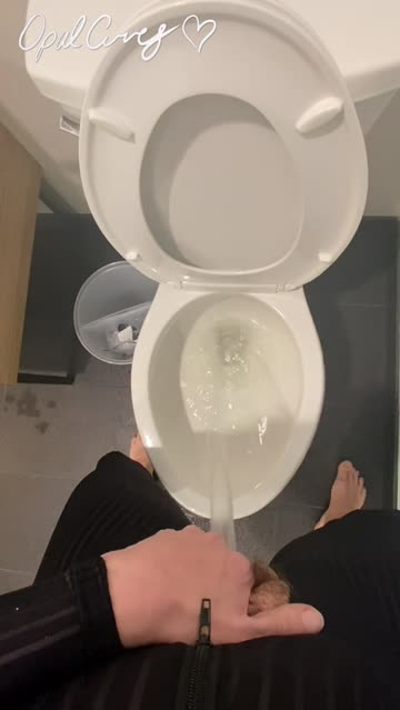 standing pee into the toilet