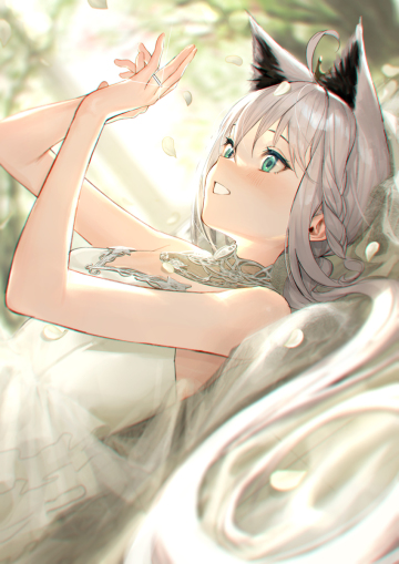 shirakami fubuki [hololive]