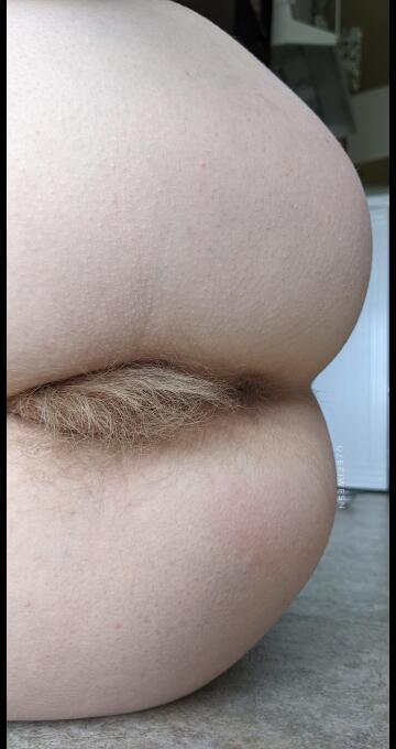 ever eaten a hairy blonde ass before?