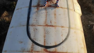 playing with my toy on top of an abandoned train! [gif]