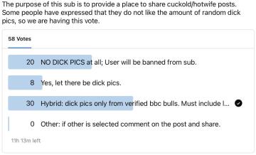 updated rules. please reivew. no more dick pics unless it follows the new rules for a bbc bull ad.