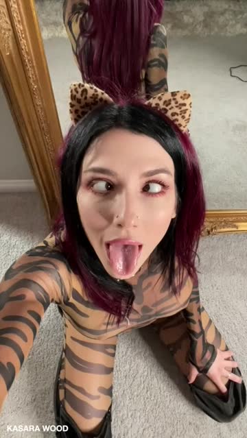 did you know that kitties drool??