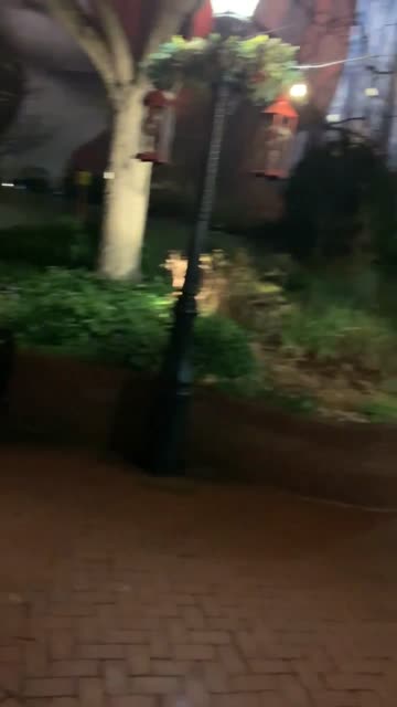 blowjob in the botanic garden