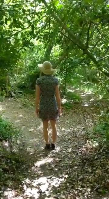 the forbidden forest