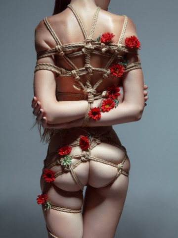 flower bondage from behind by aaron mcpolin