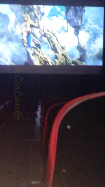 don't worry. i had already seen the trailer beforehand . . . or beforehead?