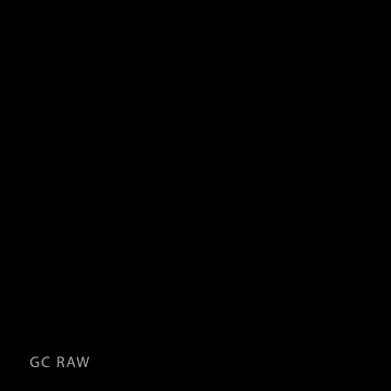 2b (gc raw) [nier automata]