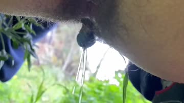 pissing in the forest