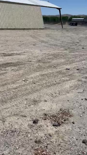 on our way to a festival