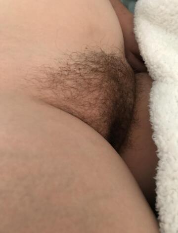 would you go down on this hairy pussy?