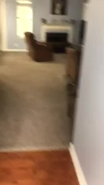 upvote if oyu would love to come home to this!