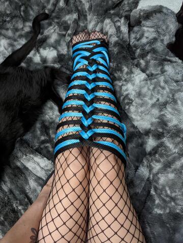leg bondage, fishnets, and cats! what more could you ask for?