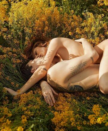 kissed by the sunlight