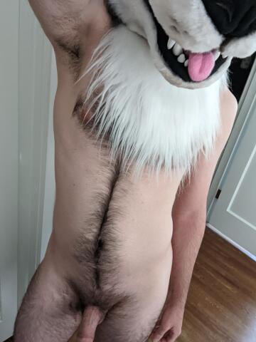 this counts as a partial, right? :3