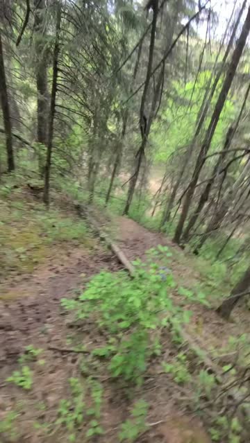 getting pounded on a hiking trail