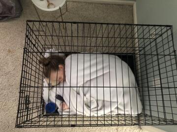the pet sleeps in her cage.