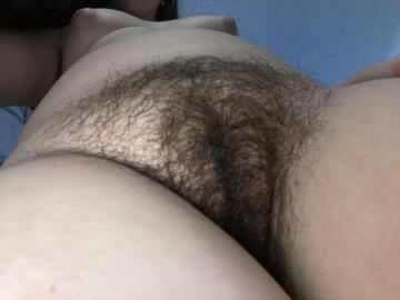 would you let me sit on your face with my hairy pussy?