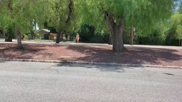 100% was seen walking naked across a very wide street. (f)