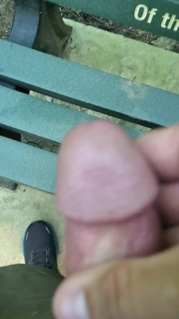 [proof] cum onto the seat of a park bench