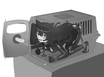 i am sorry lero duranye the trips the animals and bitches must be in his cage