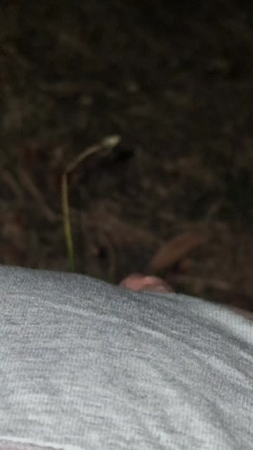 one of my favourite things is being fucked like a whore in public, this one was in the bushes under the church