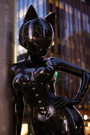 space kitten returns