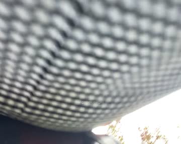 just a little peek while i'm at the zoo