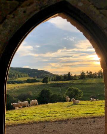 golden sunset over the green hills seen from an arch of an abbey, northumberland, northern england.