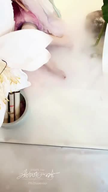 not so innocent fox (喵小吉)