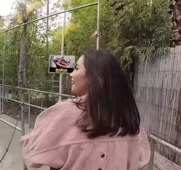 aria lee tiny titty flash