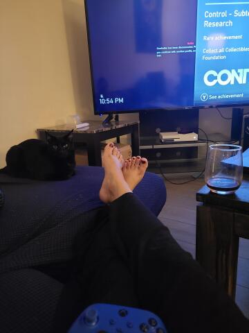 kitty, gaming, red wine.. all i'm missing is a foot rub
