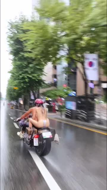 cruisin korea
