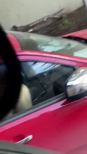 traffic sucks, and so does she