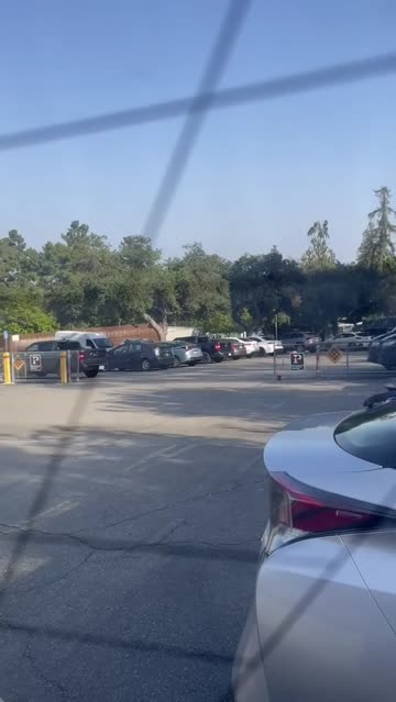 birthday sex in the park and he wanted to make a mess