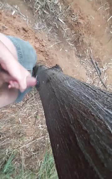 [proof] cum on a tree