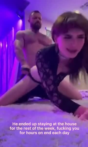 house sitting gone wild