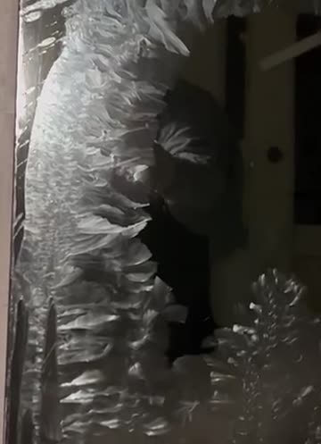 want to know how long it takes for your pee to freeze over in canada? not long at all.