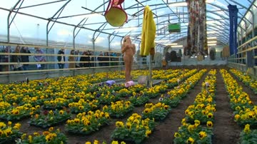 exhibiting her big cock during a performance