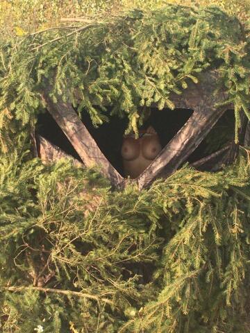 look what i found in my blind this morning!