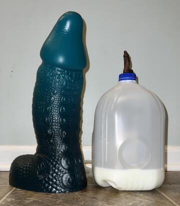 my xl marcel has arrived!!! i felt like a pop can was utterly disrespectful to his size, so here he is towering over a gallon of milk!!! 🐊🤩