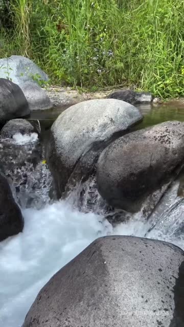 you should skinny dip with this nature nymph