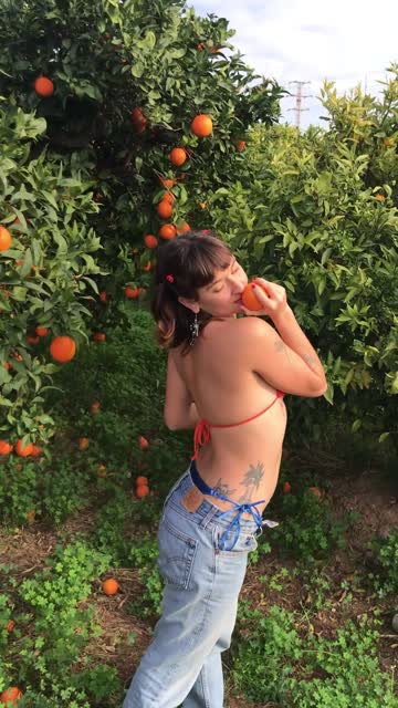 forbidden fruits taste the best, do you like oranges?