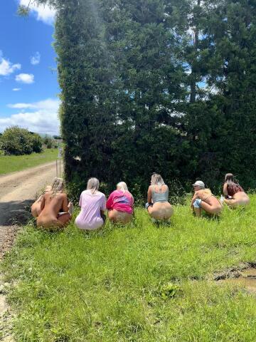 festi roady pit stop hahaha