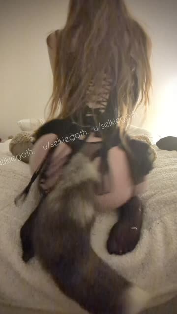 lil fox use hypnosis ! *wiggle wiggle* (´｡~ ᵕ ~｡`) is it effective?